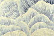 Sand Dunes